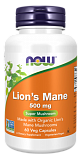 Now Lions Mane Mushroom (Ежовик гребенчатый) 60 капсул